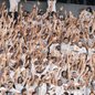 Partida decisiva acontece no Estádio Mangueirão, em Belém, com premiação de R$ 4 milhões para o vencedor - Foto: Raul Baretta/ Santos FC