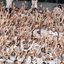 Partida decisiva acontece no Estádio Mangueirão, em Belém, com premiação de R$ 4 milhões para o vencedor - Foto: Raul Baretta/ Santos FC
