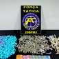 Patrulheiros da Força Tática prenderam homem após flagrante de tráfico em Mongaguá, com drogas e dinheiro apreendidos - Foto: Divulgação/ 29° BPMI