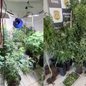 A polícia investiga o envolvimento do proprietário do imóvel e a autenticidade da licença apresentada - Imagem: Divulgação