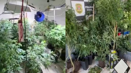 A polícia investiga o envolvimento do proprietário do imóvel e a autenticidade da licença apresentada - Imagem: Divulgação