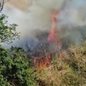 Fogo próximo a residências na Rua 8 é controlado por equipe do Corpo de Bombeiros em Santos - Imagem: Reprodução