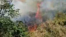Fogo próximo a residências na Rua 8 é controlado por equipe do Corpo de Bombeiros em Santos - Imagem: Reprodução