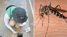 A partir de quarta-feira, 70 agentes visitarão o Boqueirão para eliminar focos de água parada e prevenir doenças transmitidas pelo mosquito - Foto: Divulgação/ Prefeitura de Santos