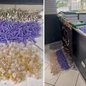 Polícia apreende mais de 20 quilos de maconha, crack e cocaína escondidos em tonéis na mata; ocorrência foi levada ao 2º DP de Cubatão - Foto: Divulgação