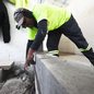 Com 435 m², o novo espaço contará com consultórios e áreas de apoio, garantindo conforto e segurança para os pets - Foto: Divulgação/ Prefeitura de Praia Grande