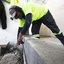 Com 435 m², o novo espaço contará com consultórios e áreas de apoio, garantindo conforto e segurança para os pets - Foto: Divulgação/ Prefeitura de Praia Grande