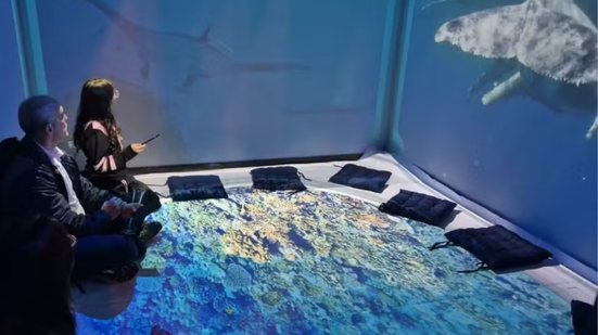 Foto: Reprodução/ Divulgação/Espaço Mantas do Brasil