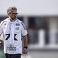 Com a equipe na zona de rebaixamento, Santos busca resposta e vitória contra o Juventude no Morumbi nesta segunda-feira - Foto: Raul Baretta/ Santos FC