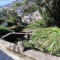 A PM foi recebida a tiros durante ronda, levando à ativação da Força Tática e a uma megaoperação na região do morro - Foto: Divulgação Predfz