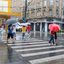 Foto: Raimundo Rosa/PMS