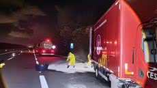 O motorista detectou o vazamento e acionou equipes especializadas para transferir a carga e evitar contaminações na vegetação - Imagem: Reprodução