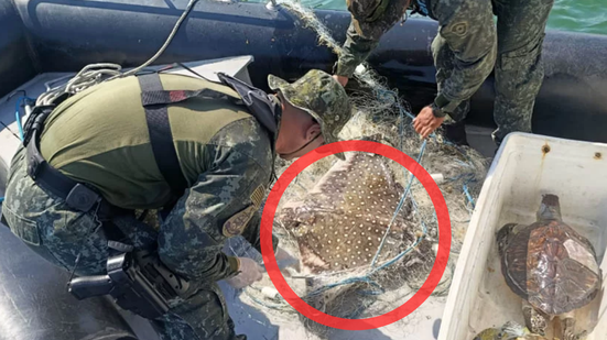 A rede apreendida será destruída e a PM Ambiental reforça a importância de denúncias para proteger o ecossistema marinho da região - Divulgação/PM Ambiental