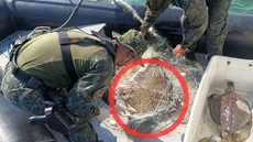 A rede apreendida será destruída e a PM Ambiental reforça a importância de denúncias para proteger o ecossistema marinho da região - Divulgação/PM Ambiental