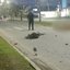 A Polícia Civil investiga o caso como homicídio culposo e busca identificar o proprietário do cavalo que estava solto na pista - Foto: Reprodução / Guarujá Mil Grau