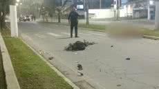 A Polícia Civil investiga o caso como homicídio culposo e busca identificar o proprietário do cavalo que estava solto na pista - Foto: Reprodução / Guarujá Mil Grau