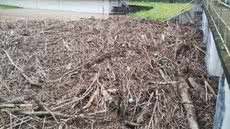 Mistura de calor, chuvas e turismo causa falta d'água em regiões litorâneas - Foto: Divulgação/ Sabesp