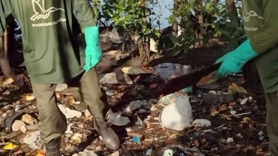 O evento no Jardim Casqueiro visa unir moradores e turistas em um esforço coletivo para cuidar dos ecossistemas locais e combater o lixo - Imagem: Divulgação