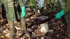 O evento no Jardim Casqueiro visa unir moradores e turistas em um esforço coletivo para cuidar dos ecossistemas locais e combater o lixo - Imagem: Divulgação
