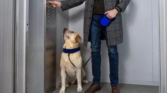 Condomínios devem manter regras de convivência, mas não podem barrar a presença de animais, visando harmonia entre moradores - Imagem: Reprodução