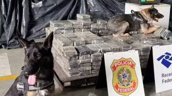Carga de polipropileno escondia grande volume de cocaína, com destino ao Porto de Antuérpia, na Bélgica - Imagem: Reprodução