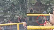 Catraieiros agem rápido, mas não conseguem salvar mulher encontrada no canal em Santos; identidade segue desconhecida - Foto: Reprodução/ Redes Sociais