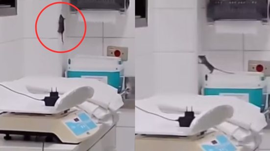 Vídeo mostra rato em área sensível do Hospital Irmã Dulce, gerando preocupação sobre a higiene e segurança dos recém-nascidos - Imagem: Reprodução