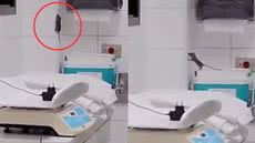 Vídeo mostra rato em área sensível do Hospital Irmã Dulce, gerando preocupação sobre a higiene e segurança dos recém-nascidos - Imagem: Reprodução