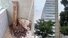 Restos de madeira deixados por construtora causaram infestação que afetou 15 famílias em Santos por três anos - Foto: Reprodução