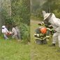 Bombeiros enfrentam enxame de abelhas para resgatar morador que ficou preso na vegetação durante caminhada matinal - Foto: Reprodução