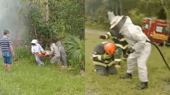 Bombeiros enfrentam enxame de abelhas para resgatar morador que ficou preso na vegetação durante caminhada matinal - Foto: Reprodução