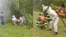 Bombeiros enfrentam enxame de abelhas para resgatar morador que ficou preso na vegetação durante caminhada matinal - Foto: Reprodução