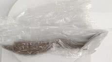 Ação rápida de agentes penitenciários resulta na apreensão de 20 gramas de maconha escondidas por visitante em sutiã - Foto: Divulgação/SAP