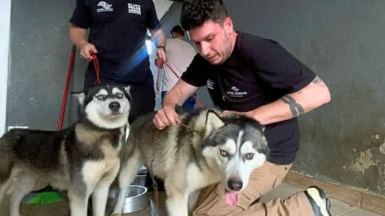 Após denúncias com evidências, os animais foram encontrados em situações críticas, levando a um resgate urgente e necessário - Foto: Rafael Saraiva