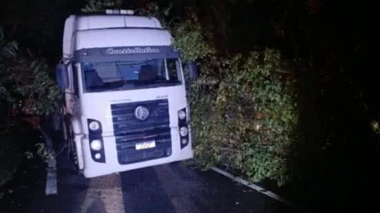 Um acidente na Rodovia Anchieta destaca os perigos do mau tempo e a sorte do motorista que escapou ileso - Foto: Reprodução