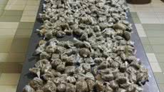 Porções de maconha apreendidas com a dupla foram apresentadas na delegacia para o registro da ocorrência - Foto: Divulgação/ 29° BPMI