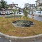 Iniciativa faz parte do Programa Santos Sustentável, que visa plantar 10 mil árvores em quatro anos - Foto: Divulgação/ Prefeitura de Santos