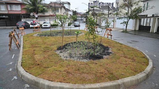 Iniciativa faz parte do Programa Santos Sustentável, que visa plantar 10 mil árvores em quatro anos - Foto: Divulgação/ Prefeitura de Santos