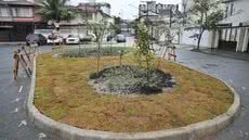 Iniciativa faz parte do Programa Santos Sustentável, que visa plantar 10 mil árvores em quatro anos - Foto: Divulgação/ Prefeitura de Santos