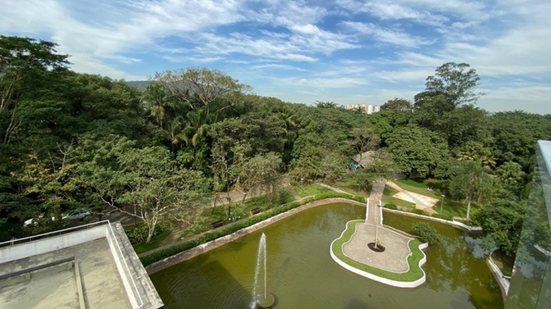 A programação incluiu corrida, plantio de árvores, shows e piquenique inclusivo, celebrando a importância do espaço verde na cidade - Foto: Reprodução