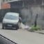 Foto: Divulgação/Prefeitura de Santos