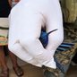 Após o resgate, o beija-flor foi levado ao Orquidário de Santos, referência em reabilitação de fauna silvestre na região - Foto: Divulgação/ Prefeitura de São Vicente