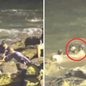 Policial se lança ao mar em Santos e resgata jovem em perigo próximo ao Novo Quebra-Mar, com apoio de populares - Imagem: Reprodução