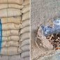Polícia Federal assume investigação para identificar rede criminosa e responsáveis pela inserção da droga em contêineres - Foto: Receita Federal