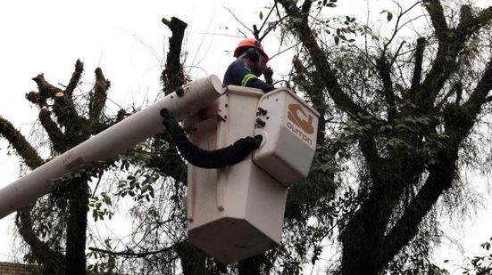 A Prefeitura de Santos inicia encontros para explicar serviços de poda e manejo de árvores, começando no bairro José Menino - Foto: Divulgação/ Prefeitura de Santos