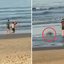 O ex-cabo Gustavo Pavão Gomes será julgado por homicídio qualificado após matar Anderson de Oliveira na Praia da Enseada em 2025 - Foto: Reprodução/ Redes sociais
