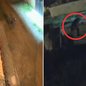 O invasor foi preso em flagrante e as esquadrias metálicas foram recuperadas, evitando a venda clandestina em ferros-velhos - Foto: Divulgação/ 14° BPMI