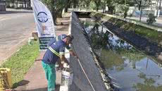 A força-tarefa na Zona Noroeste inclui recuperação de taludes e higienização pesada, visando a valorização do espaço urbano - Foto: Divulgação/ Prefeitura de Santos