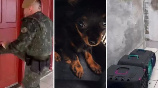 Polícia Militar Ambiental encontrou cães trancados em caixas, sem água ou comida, destacando a importância da vigilância comunitária - Foto: Redes Sociais/Polícia Militar Ambiental da Baixada Santista