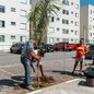 A Prefeitura de Bertioga promoveu o plantio de 200 mudas de espécies da Mata Atlântica para preservar a biodiversidade local - Foto: Divulgação/ Prefeitura de Bertioga